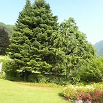 Romele Διαμέρισμα Pisogne
